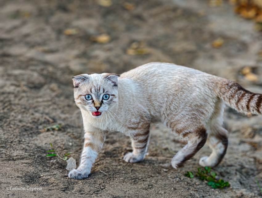 По ощущениям «минус»: о погоде в первый день октября 