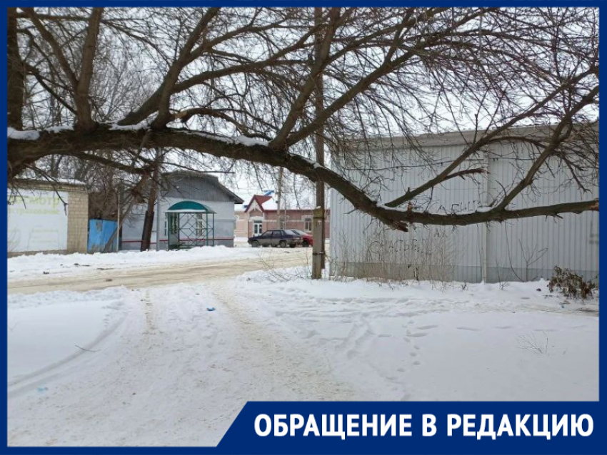 «До беды один порыв ветра»: после обращения в редакцию морозовчане снова бьют тревогу