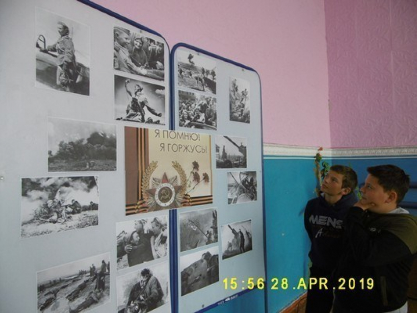 "Я помню! Я горжусь!": выставку фотографий о войне провели в Вольно-Донском СДК 