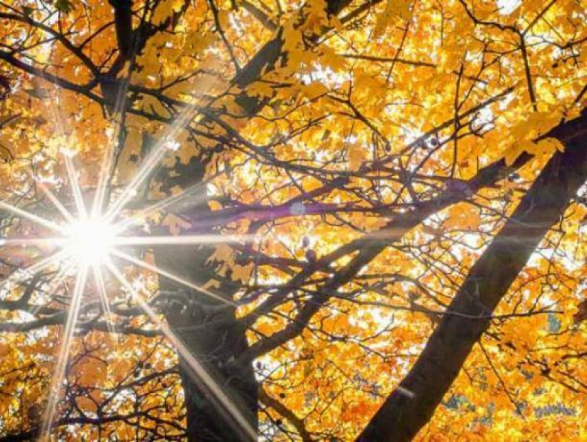 Последняя теплая неделя года: в Морозовске скоро наступит настоящая осень