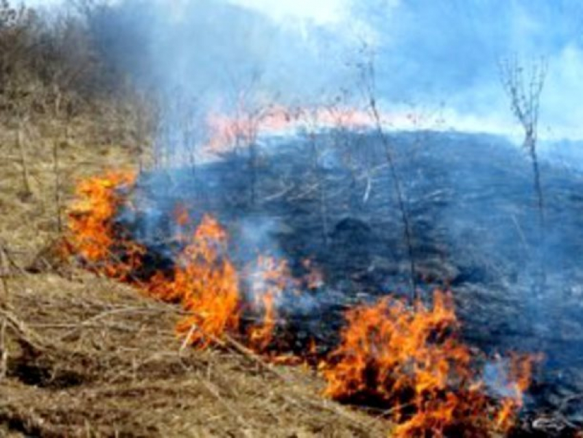 Особый противопожарный режим введен в Грузиновском, Знаменском и Гагаринском сельском поселении