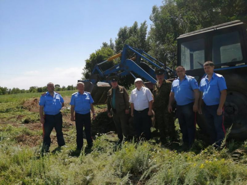 Более 1500 килограммов дикорастущей конопли уничтожили на территории Грузиновского сельского поселения