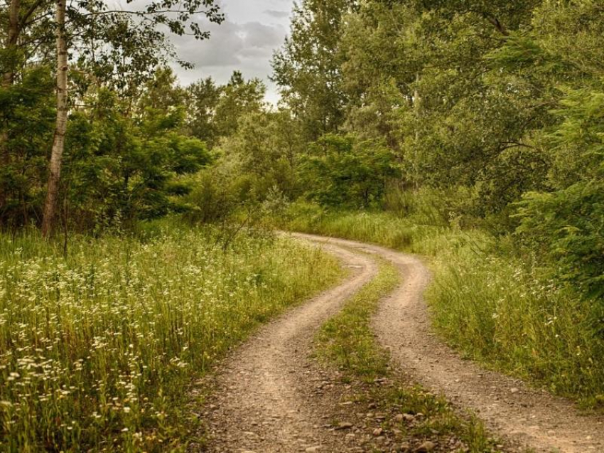 До 30 градусов тепла обещают морозовчанам в субботу