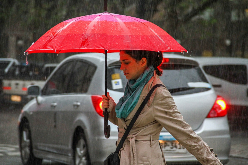 Легкий дождь и тепло обещают синоптики Морозовску во вторник