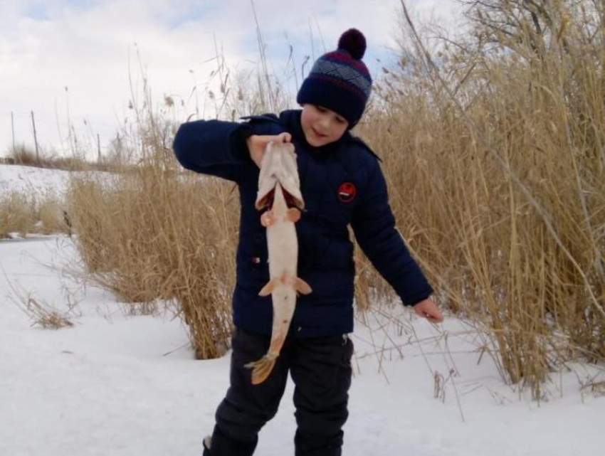 Щук голыми руками: нестандартный метод ловли рыбы продемонстрировали морозовчане на соревнованиях 