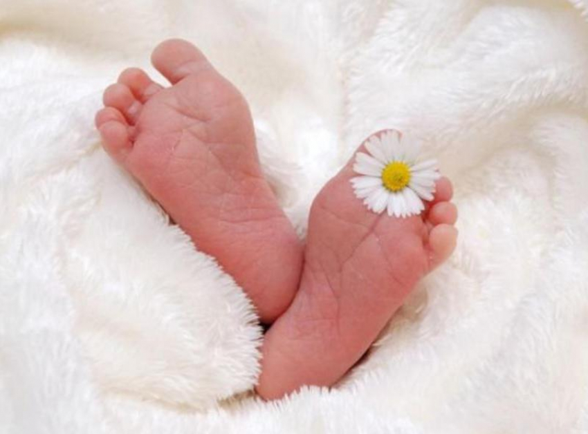 В администрации Морозовского района назвали самые оригинальные имена для новорожденных в 2022 году
