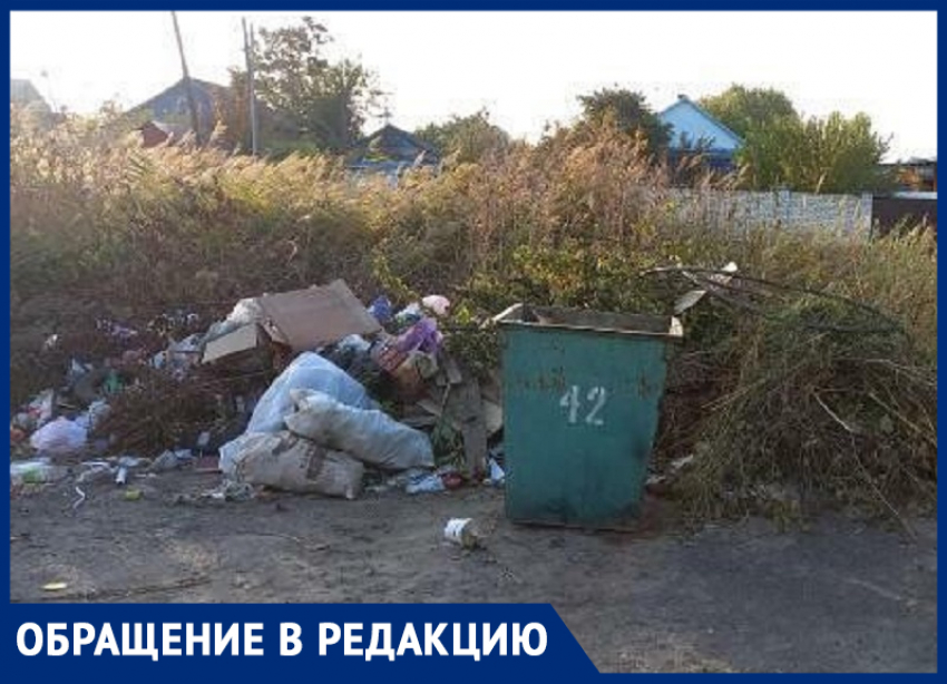 Коммунальные службы не утруждают себя уборкой мусорки! - морозовчанка о свалке на пересечении улиц Кутузова и Нахимова