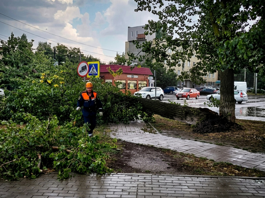 Сильный ветер повалил дерево на улице Подтелкова