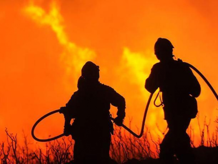 Чрезвычайная пожароопасность: запрет на посещение лесов Ростовской области продлили до 10 сентября