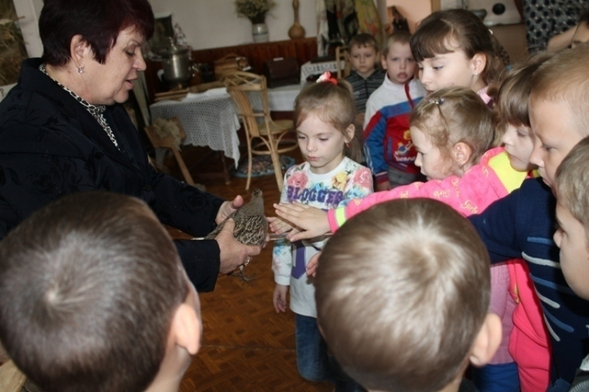 Детсадовцы в Морозовском краеведческом музее погладили «степную курочку"