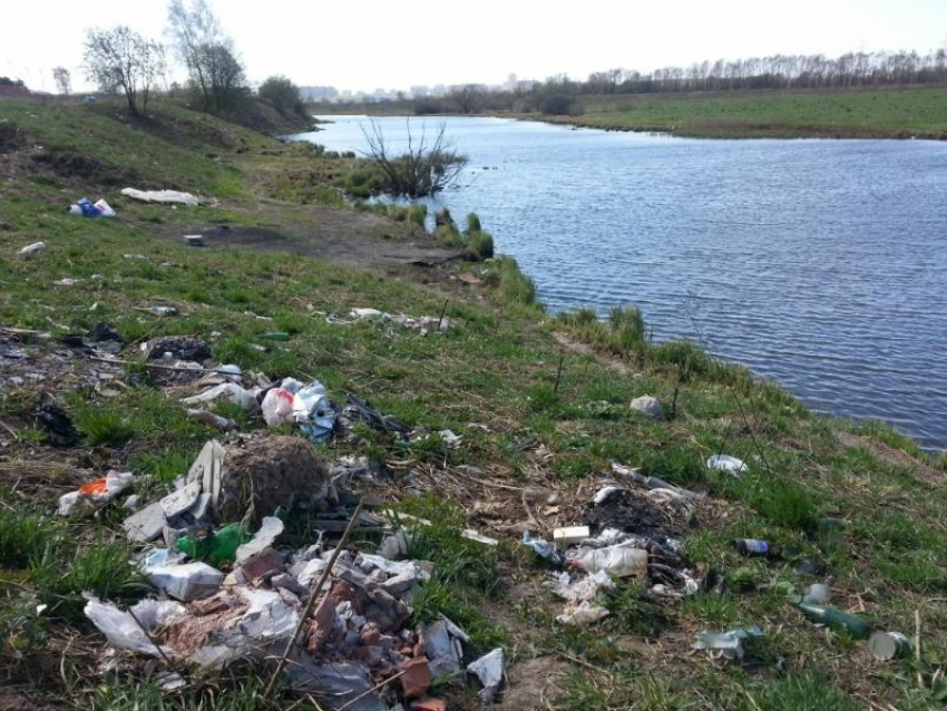 Берега рек в Морозовском районе очистят от бытового мусора
