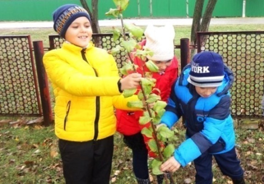 Фотографии Дня древонасаждений в Морозовском районе попали с Сеть