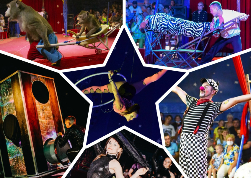 18 и 19 декабря Морозовск ждет эффектное и завораживающее шоу цирка-шапито «АЛЛЕ"