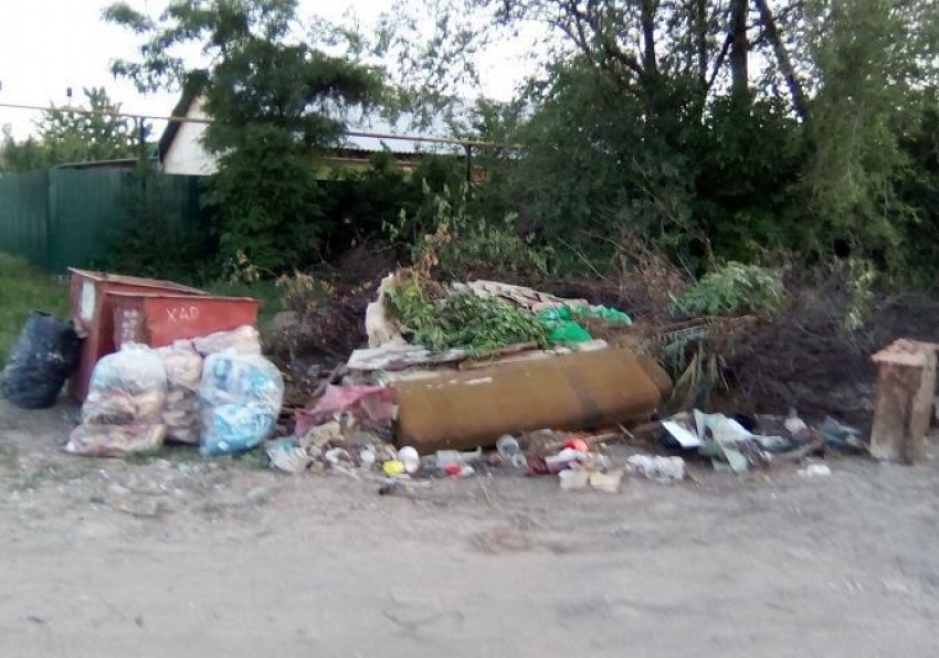 Плачевную ситуацию с мусором прокомментировали в прокуратуре Морозовского района
