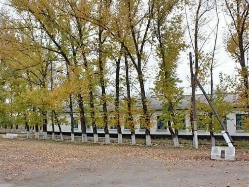 Календарь Морозовска: Ново-Павловские комсомольцы в октябре 1949 года посадили 5000 деревьев