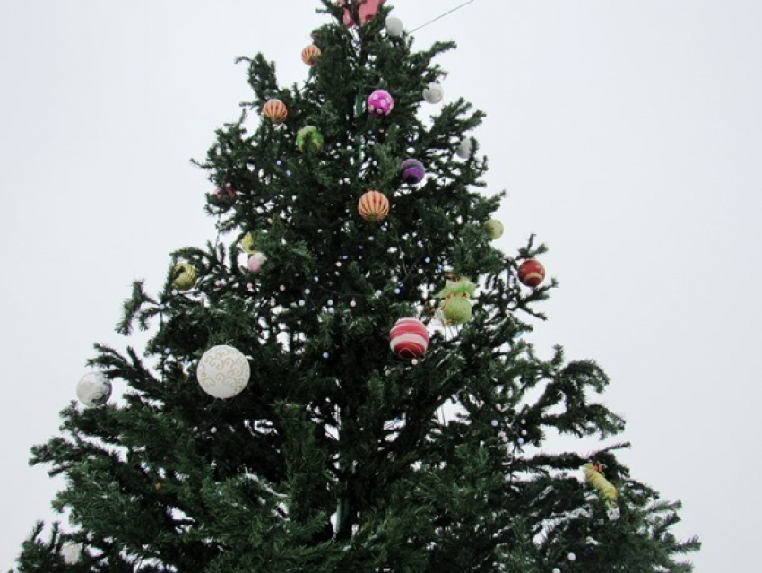 Две гирлянды и больше 15-ти шаров уже украли с главной елки Морозовска