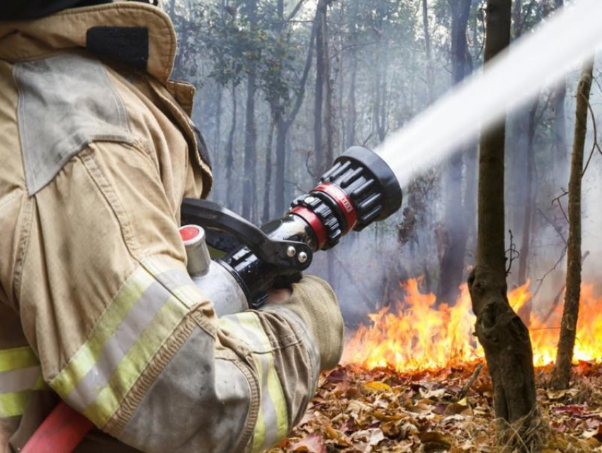 Чрезвычайная пожароопасность ожидается в Морозовском районе с 25 по 27 июня