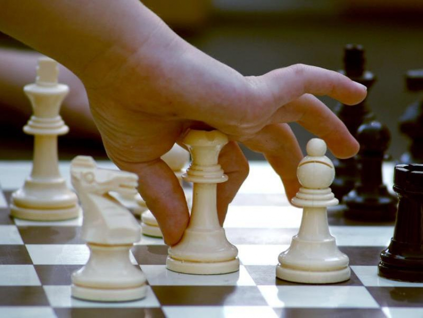 Морозовская детско-юношеская спортивная школа объявила набор на отделение шахмат