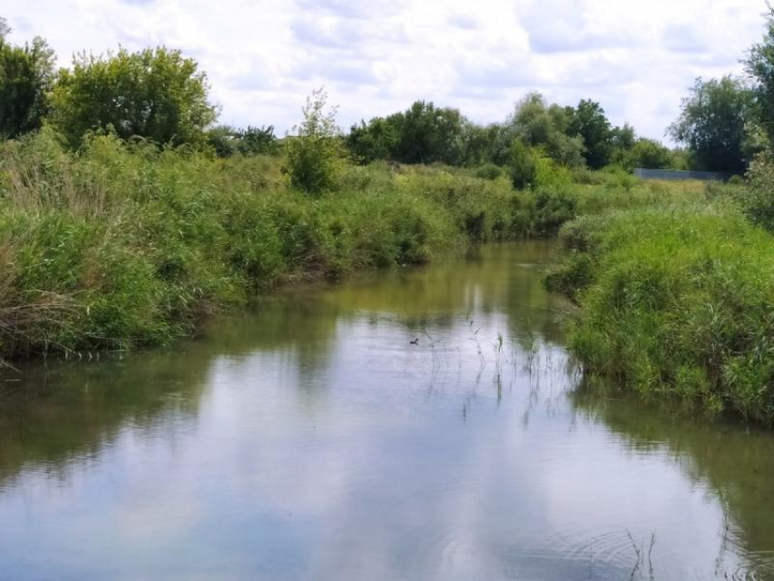 По факту гибели рыбы в акватории реки Быстрой в Морозовске возбудили дело об административном правонарушении