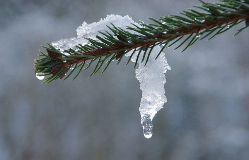 Последняя неделя января в Морозовске будет теплой