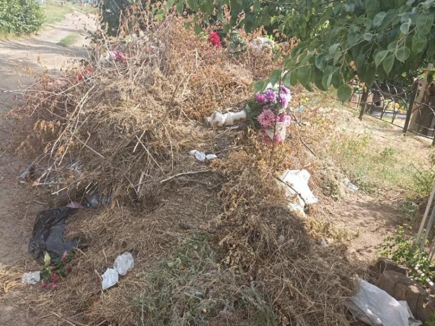 «Вывоз мусора начнется с 10 июня»: глава администрации города прокомментировал мусор на могиле ветерана 