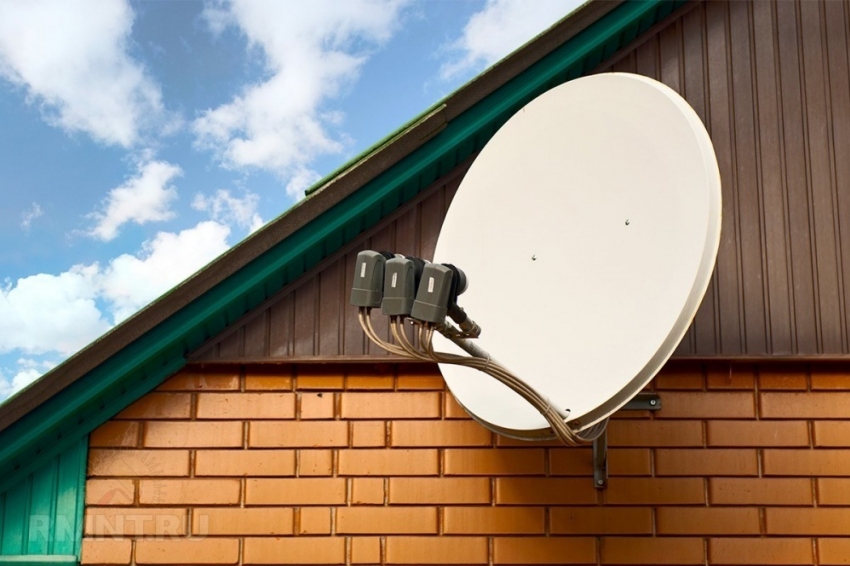 Где купить тарелку? Узнай в Справочнике