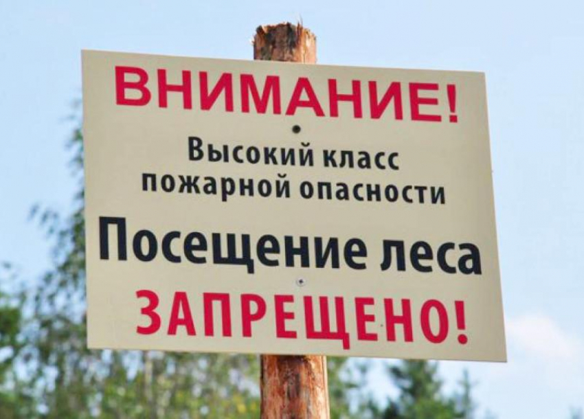 Лес под запретом: ограничения на Дону продлили до 23 июля