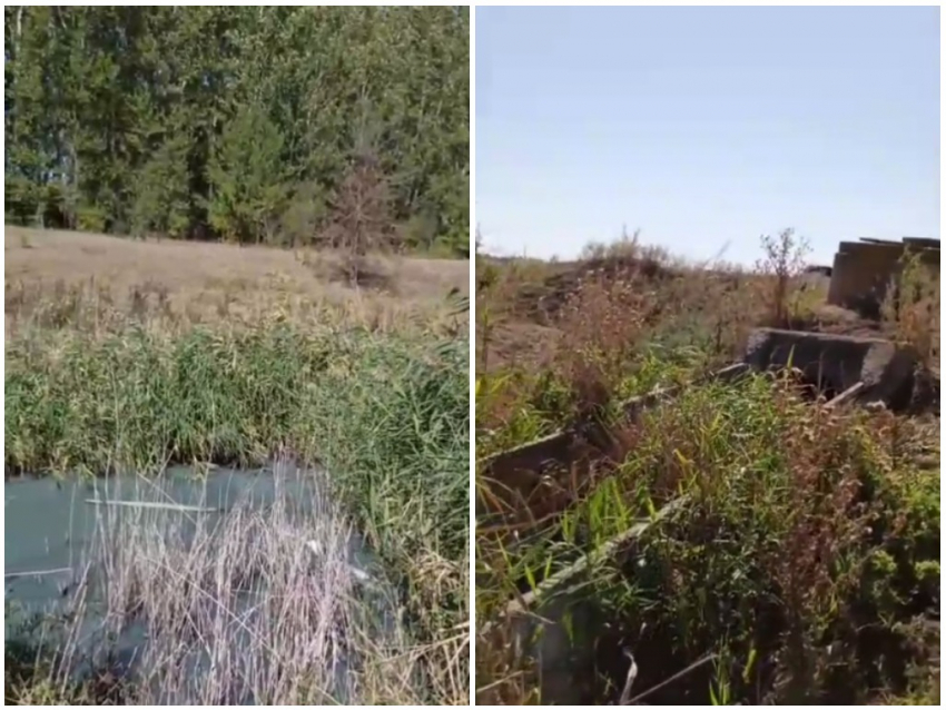 «Надвигается экологическая катастрофа»: жители Морозовска бьют тревогу из-за загрязнения реки Быстрая 