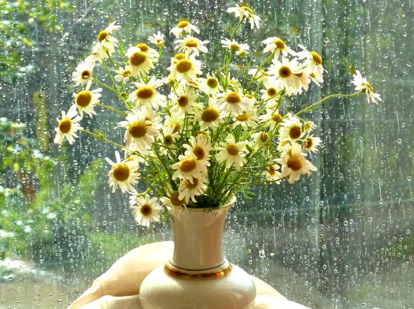 Небольшой дождь обещают морозовчанам в пятницу 20 августа, возможна гроза