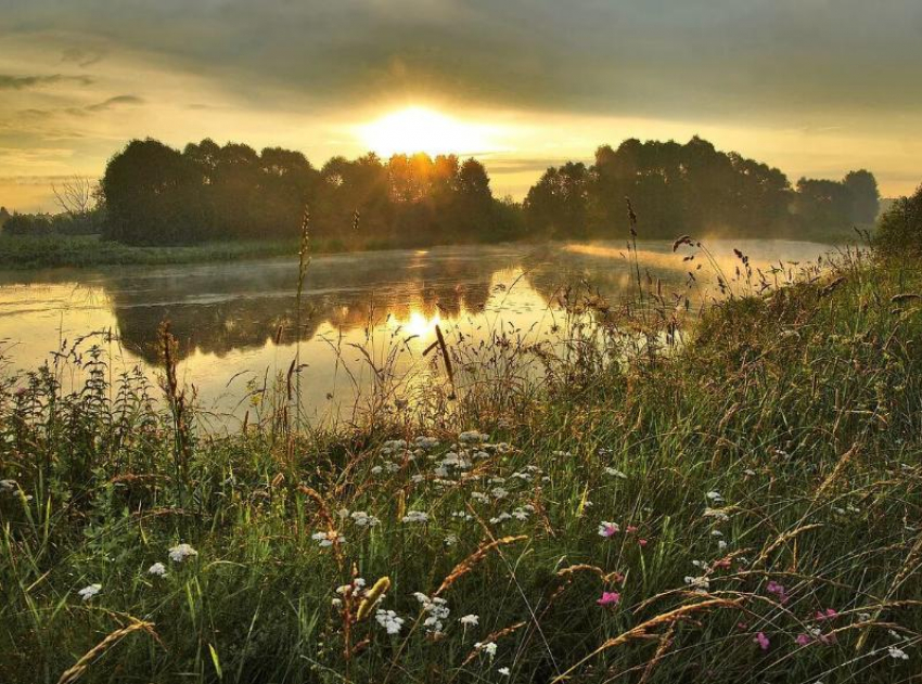 До 29 градусов тепла ожидается в Морозовске в четверг