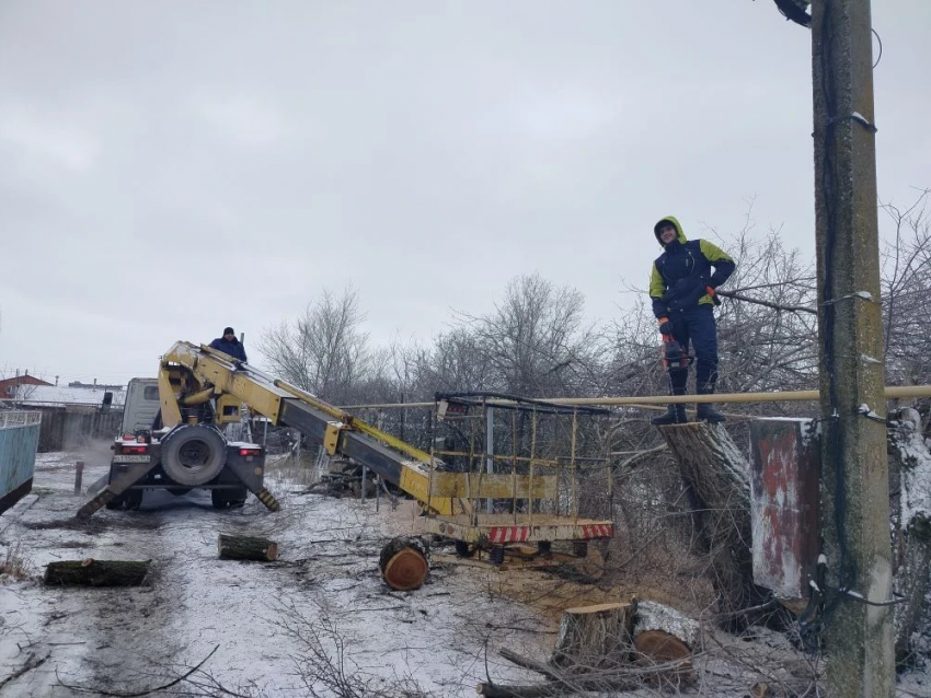 После публикации в «Блокноте» на Орджоникидзе обрезали аварийное дерево