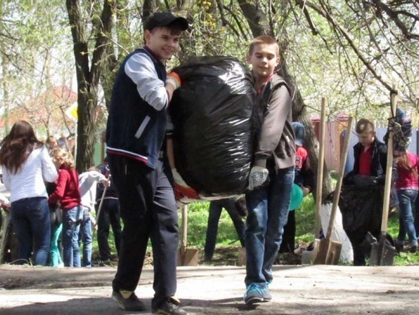 Появились фотографии добровольной экологической акции с участием учеников школы №6 в Морозовске