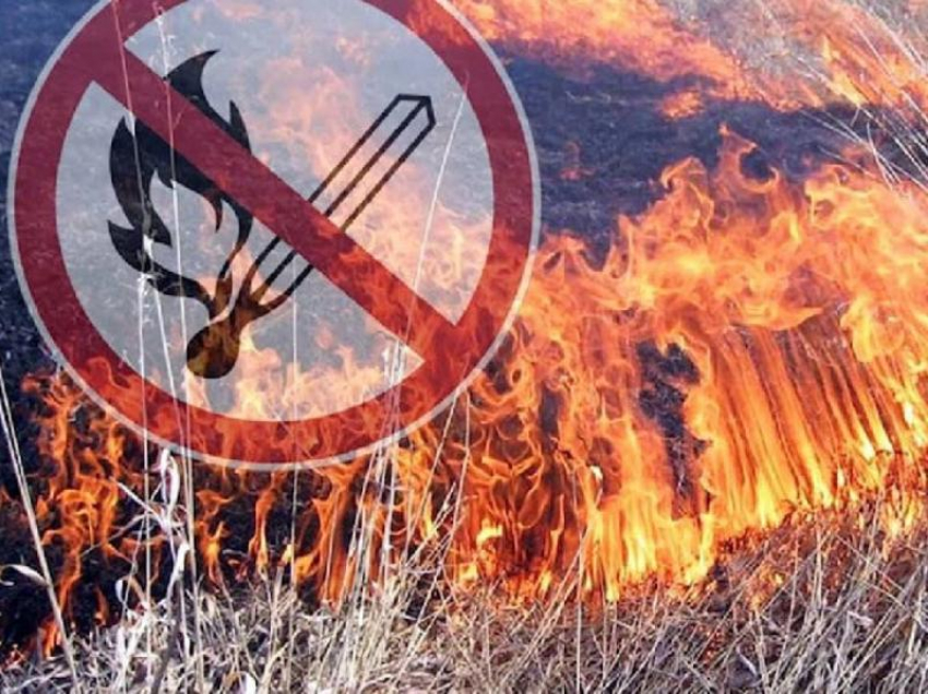 На Дону объявлено штормовое предупреждение из-за высокой пожароопасности