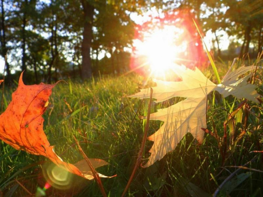 Начало осени в Морозовске окажется теплым и немного облачным