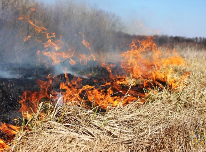 По сухой траве огонь может распространяться свыше 10 метров в секунду! - начальник Морозовского пожарно-спасательного гарнизона 