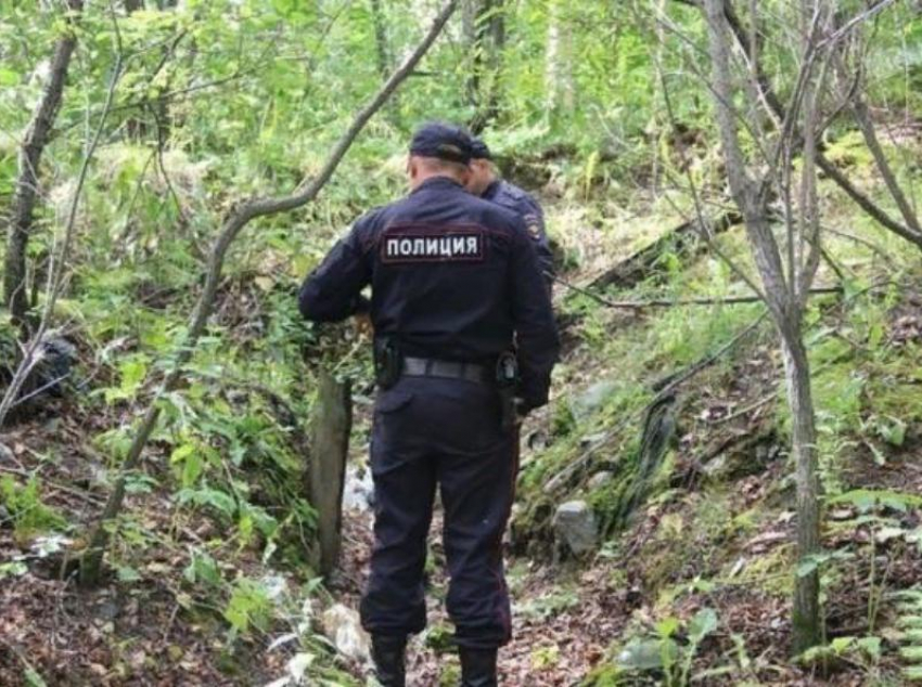 Тело пропавшего без вести пасечника обнаружили в лесополосе под Морозовском