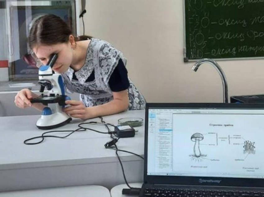Ученица морозовского лицея №1 Алёна Данилова изучает антибиотики и их значение на базе центра «Точка роста"