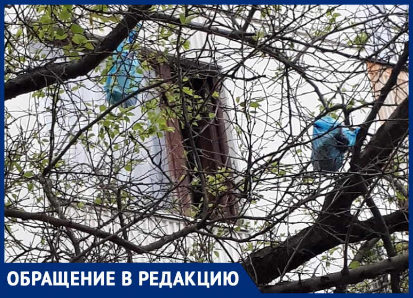 Мусор регулярно вылетает из окон многоквартирного дома в «Тексере"