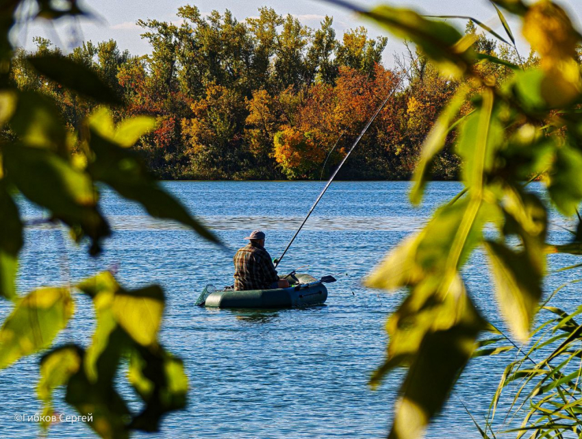 Тепло, но ветрено: о погоде в пятницу в Морозовске