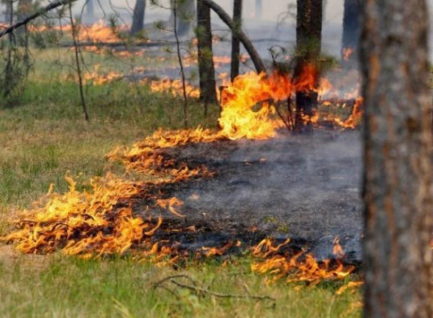 Чрезвычайная пожароопасность ожидается в Морозовском районе 23 и 24 августа