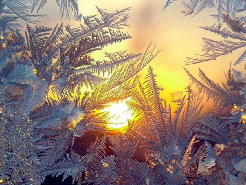 Холодно и без осадков: -4 градуса обещают морозовчанам днем, 24 февраля