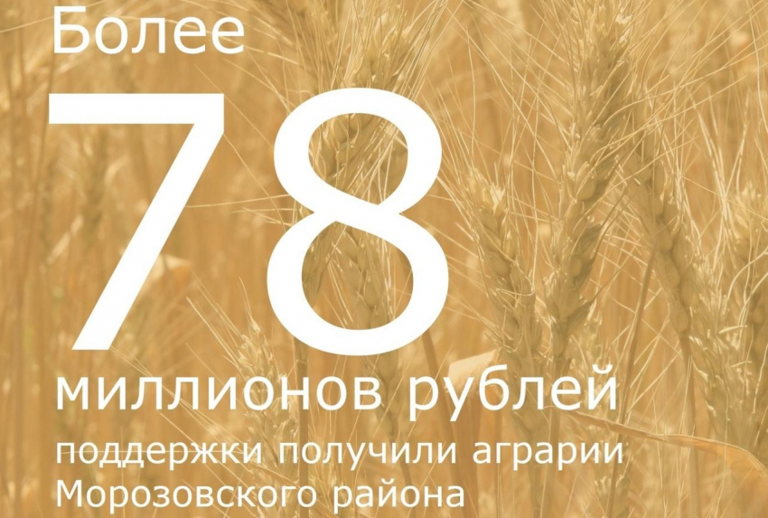 Более 78 миллионов рублей субсидий получили аграрии Морозовского района в 2022 году