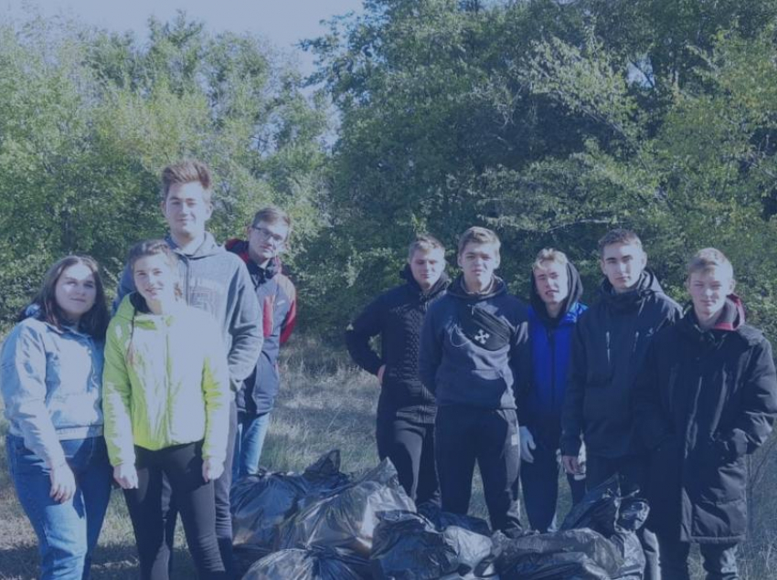 Более 120 килограммов бытового мусора собрали в лесополосе участники субботника в Морозовске