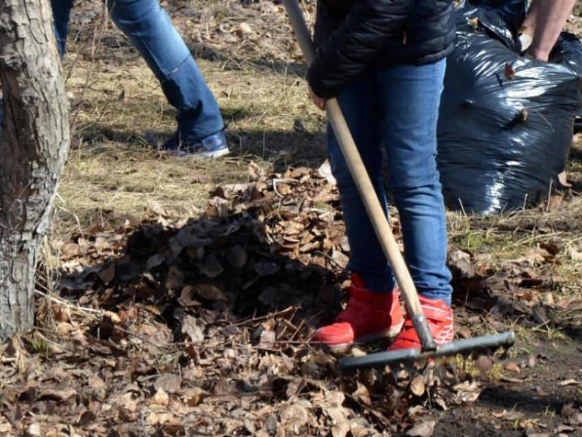 Традиционный «Месячник чистоты» стартует в Морозовске с 16 марта
