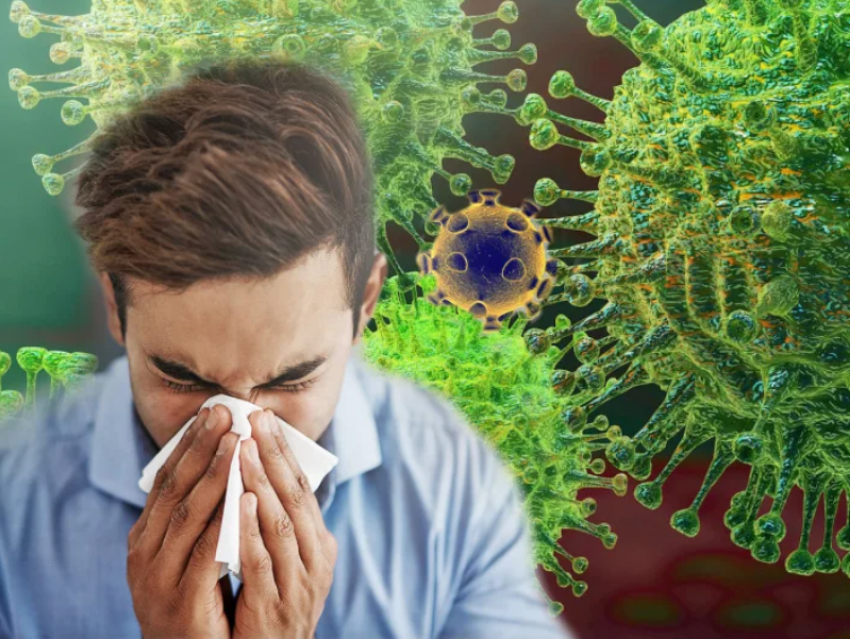 21 августа: ещё 4 случая COVID-19 выявили за сутки в Морозовском районе