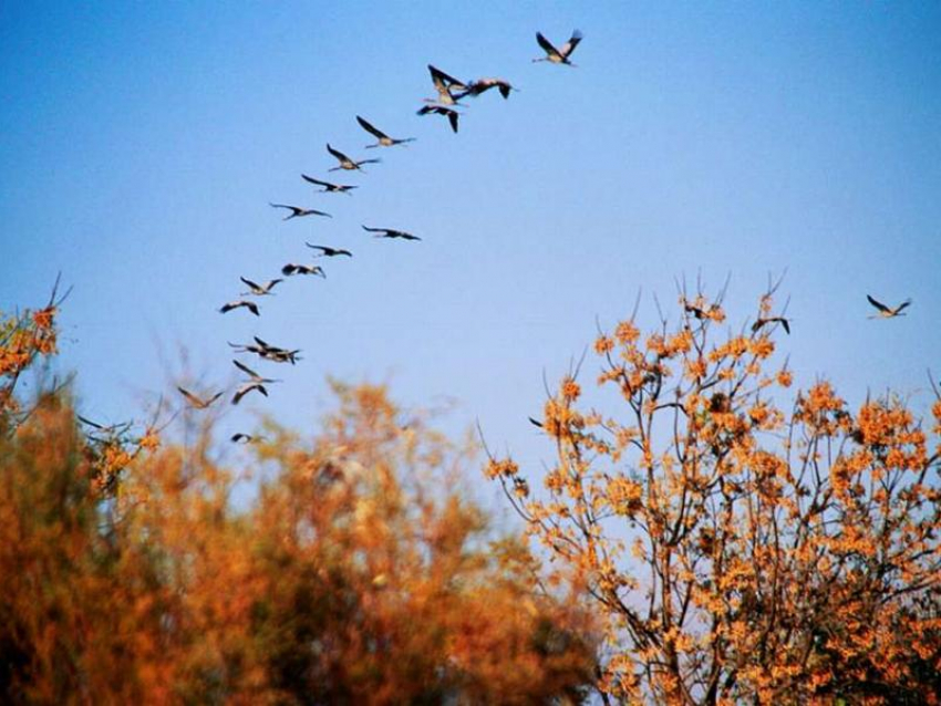 Солнечно и немного ветрено будет в Морозовске в воскресенье, 22 октября