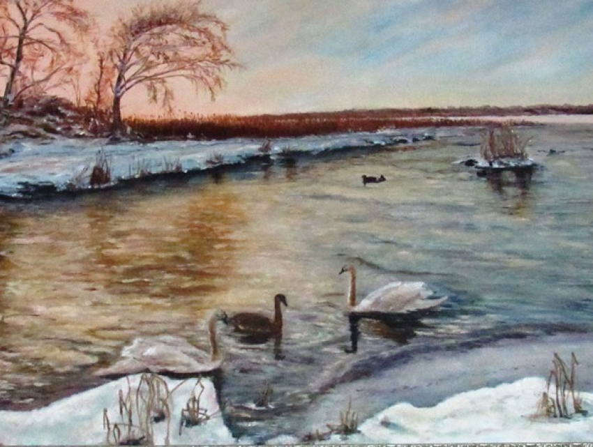 Лебедей на зимовке, последний луч заката, тающий на ягодах калины снег изобразили талантливые художники Морозовска для весенней выставки