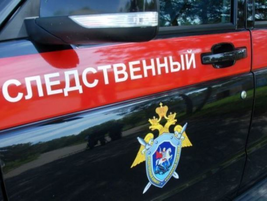 Следственный комитет взялся проверять обстоятельства избиения Любы в Морозовске