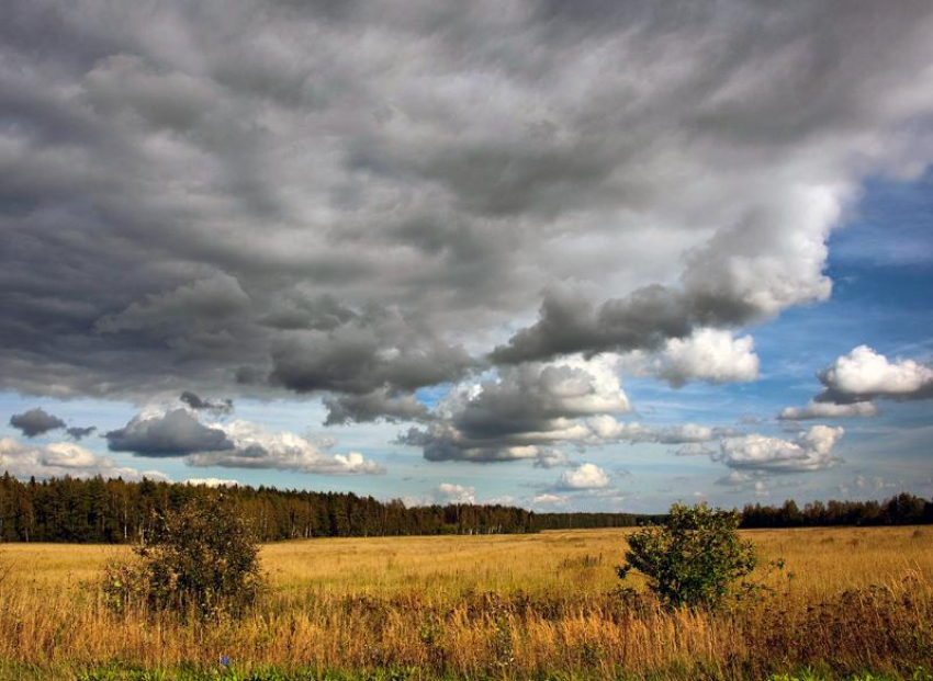 Конец недели в Морозовске будет облачным и ветреным