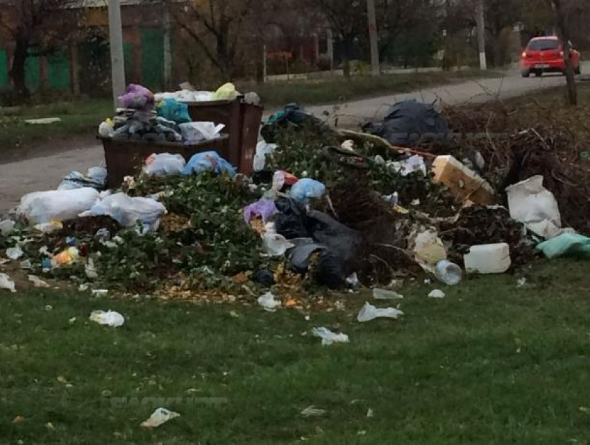 Штрафы для любителей нагромождать строительный мусор и ветки возле баков в Морозовске ужесточили